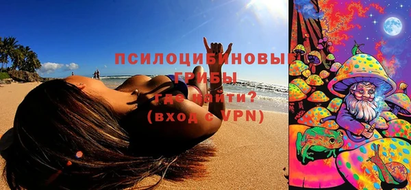 индика Сосновоборск