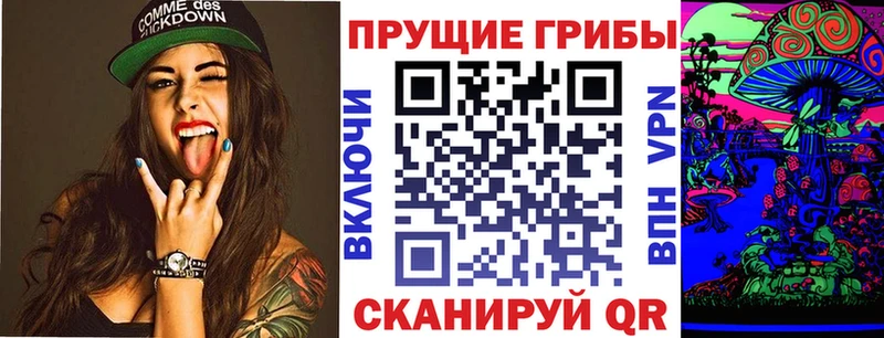 цена наркотик omg ссылка Галлюциногенные грибы Cubensis Курск