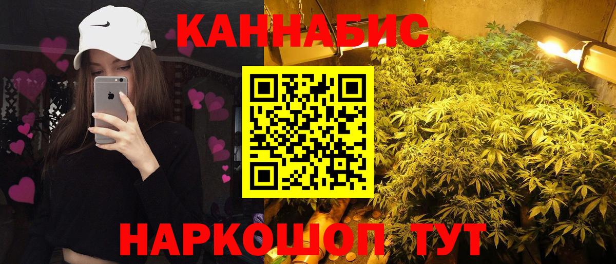 Бошки марихуана тримм  Вход с VPN  Курск  Марихуана план  Канабис семена 
